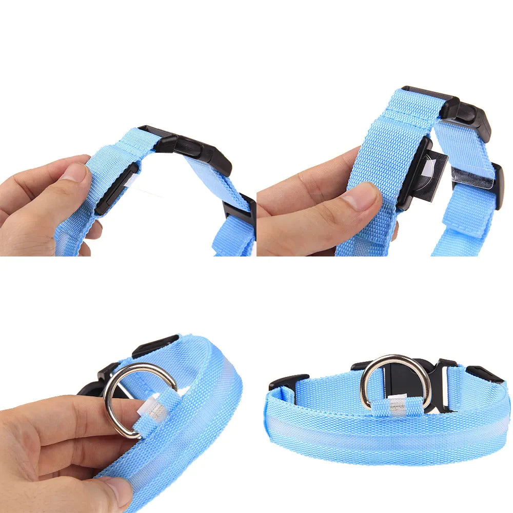 LED Waterproof Adjustable Dog Collar  