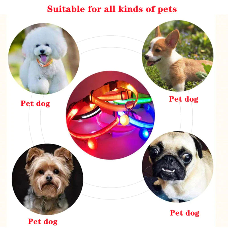 LED Waterproof Adjustable Dog Collar  