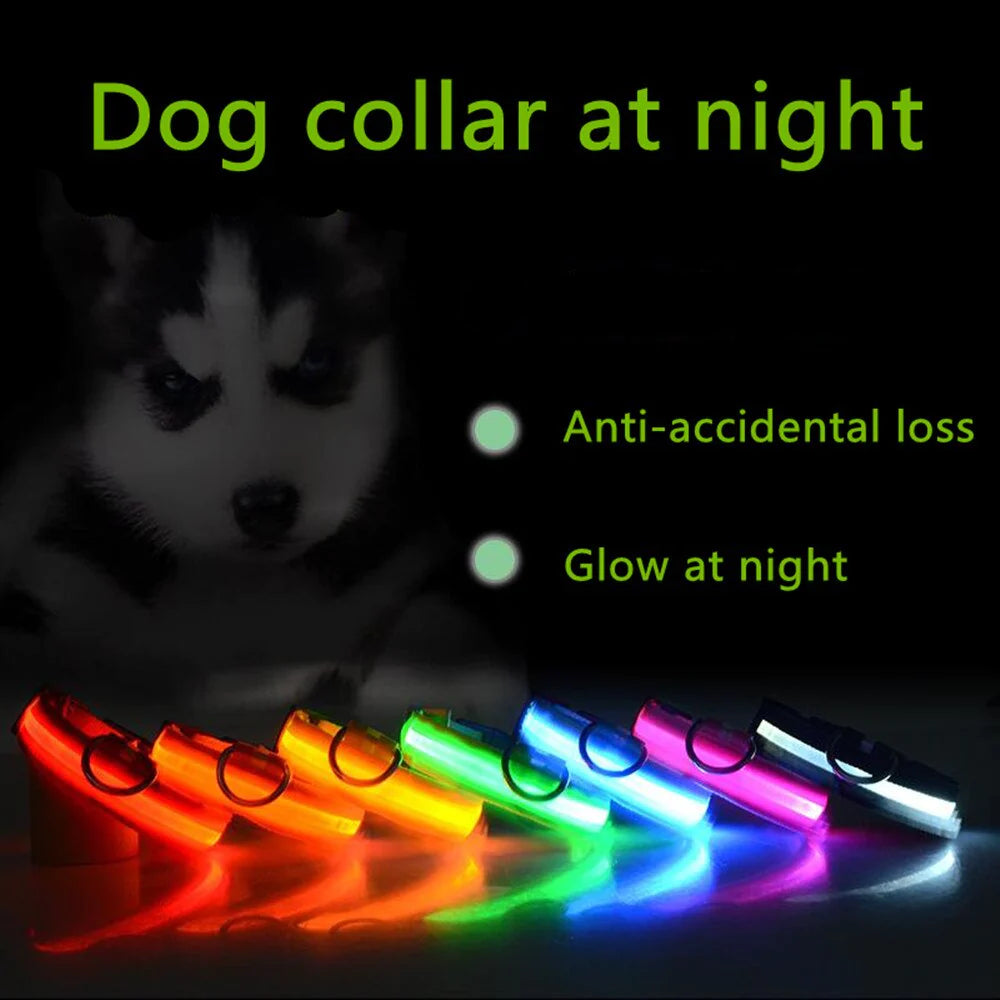 LED Waterproof Adjustable Dog Collar  