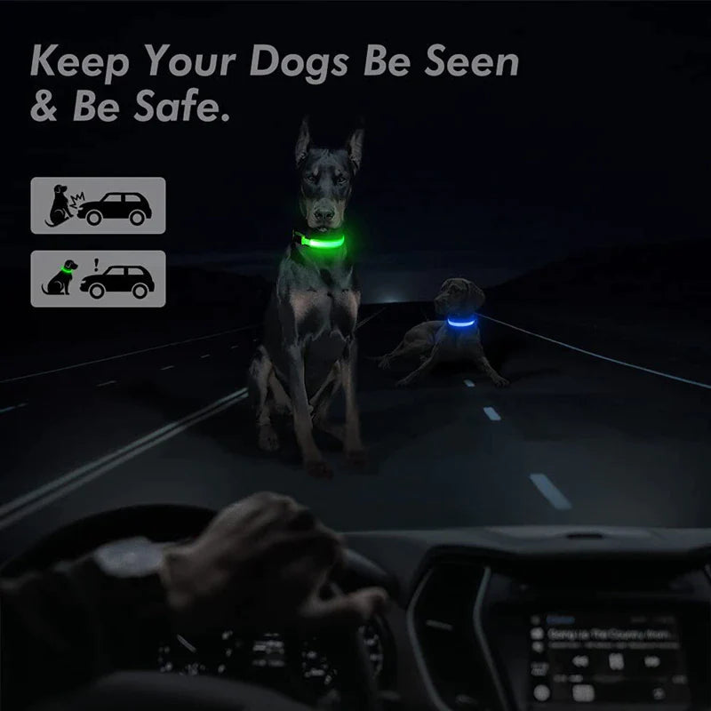 LED Waterproof Adjustable Dog Collar  