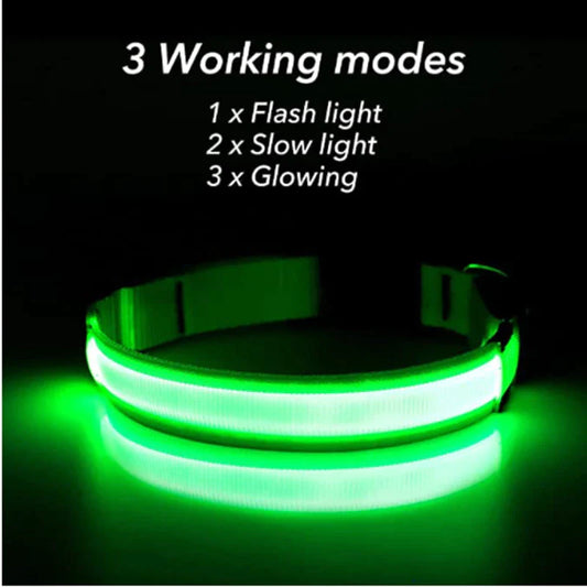 LED Waterproof Adjustable Dog Collar  