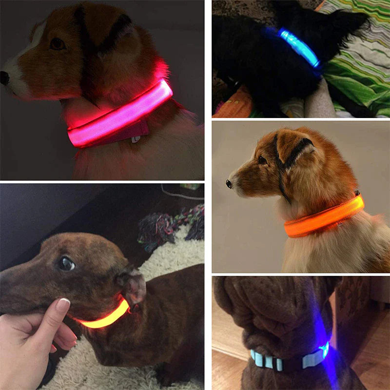LED Waterproof Adjustable Dog Collar  