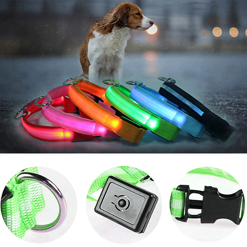 LED Waterproof Adjustable Dog Collar  