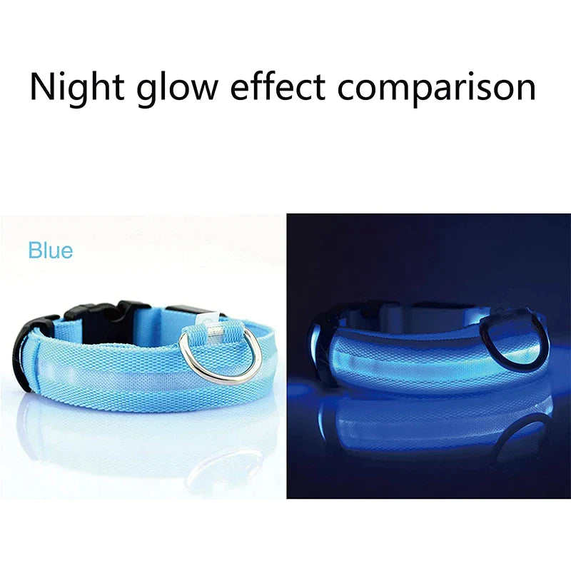 LED Waterproof Adjustable Dog Collar  