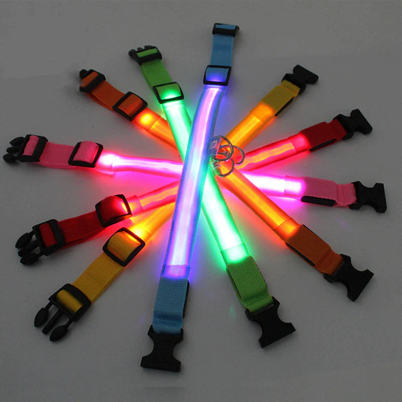 LED Waterproof Adjustable Dog Collar  