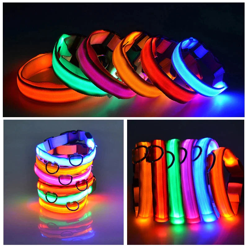 LED Waterproof Adjustable Dog Collar  