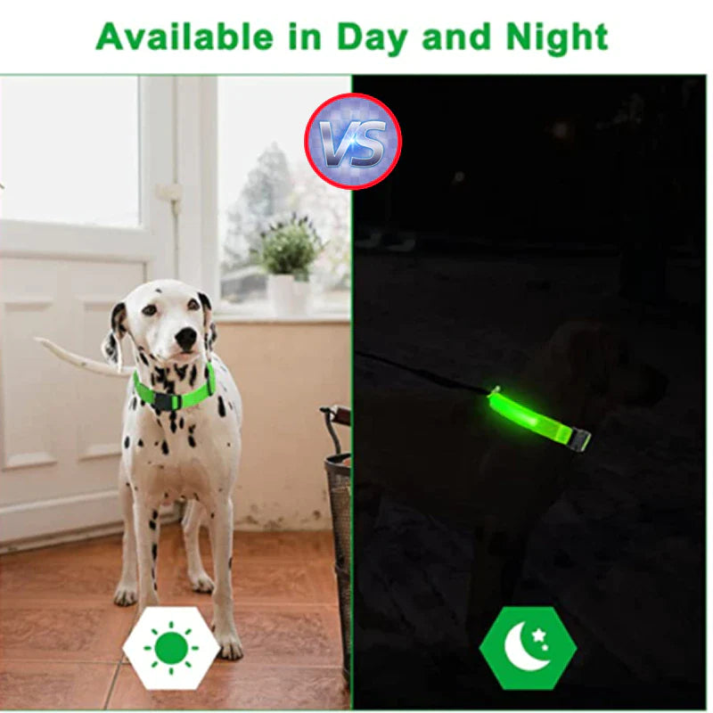 LED Waterproof Adjustable Dog Collar  