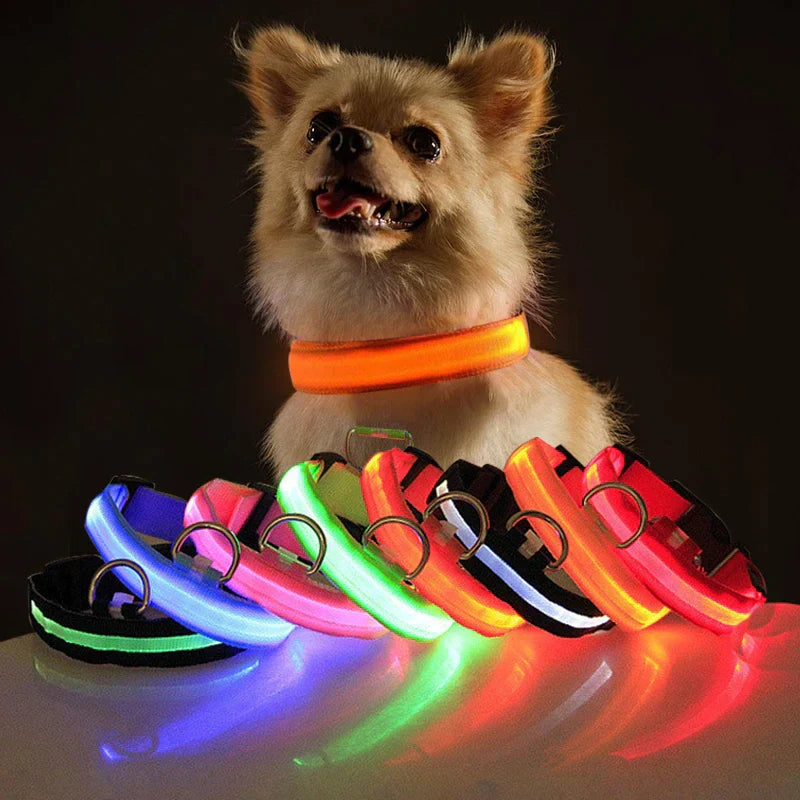 LED Waterproof Adjustable Dog Collar  